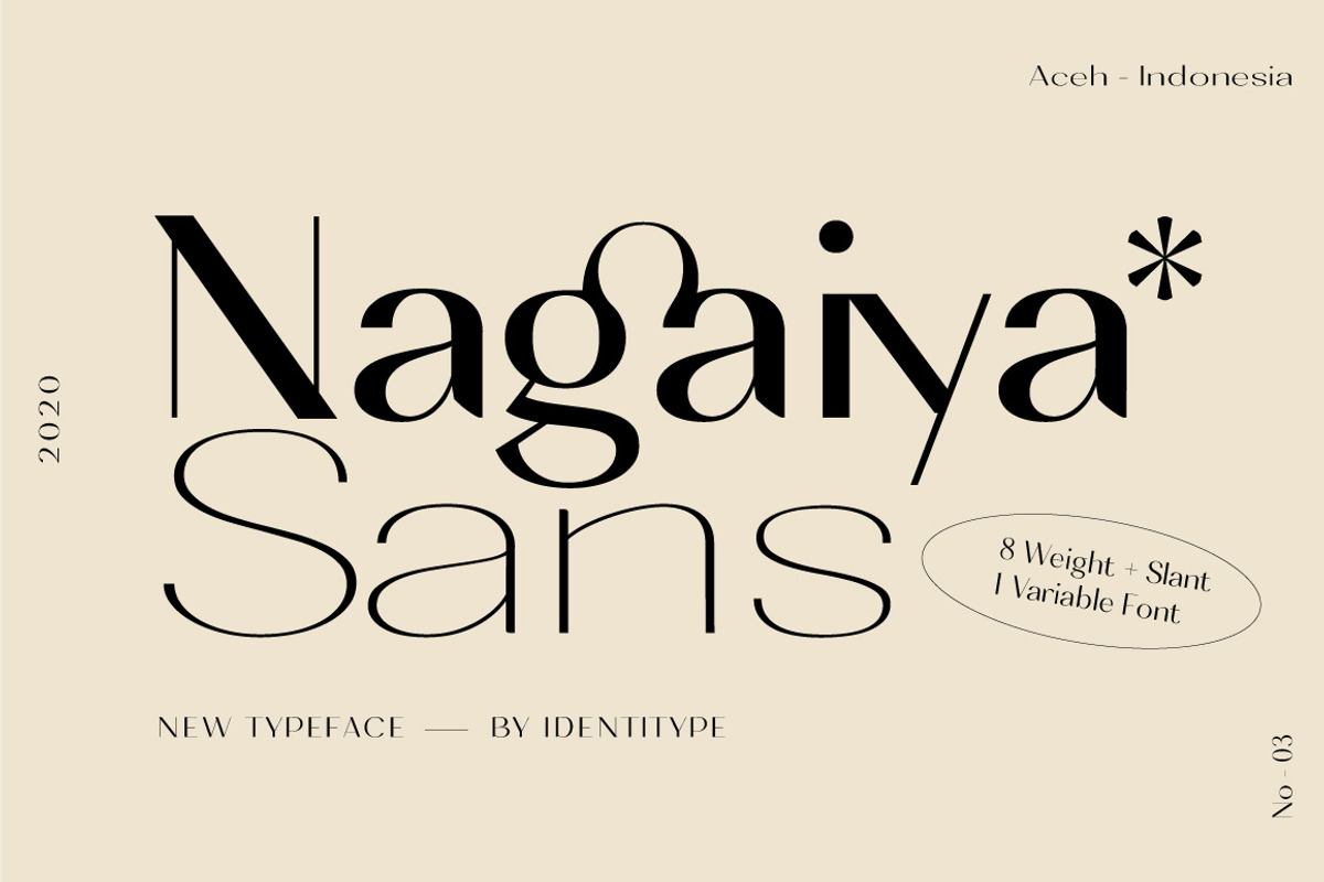 Nagaiya - Font Family With Variable Free Download Free Download