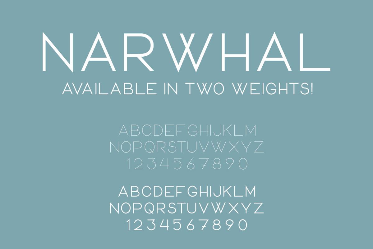 Narwhal Free Download Free Download