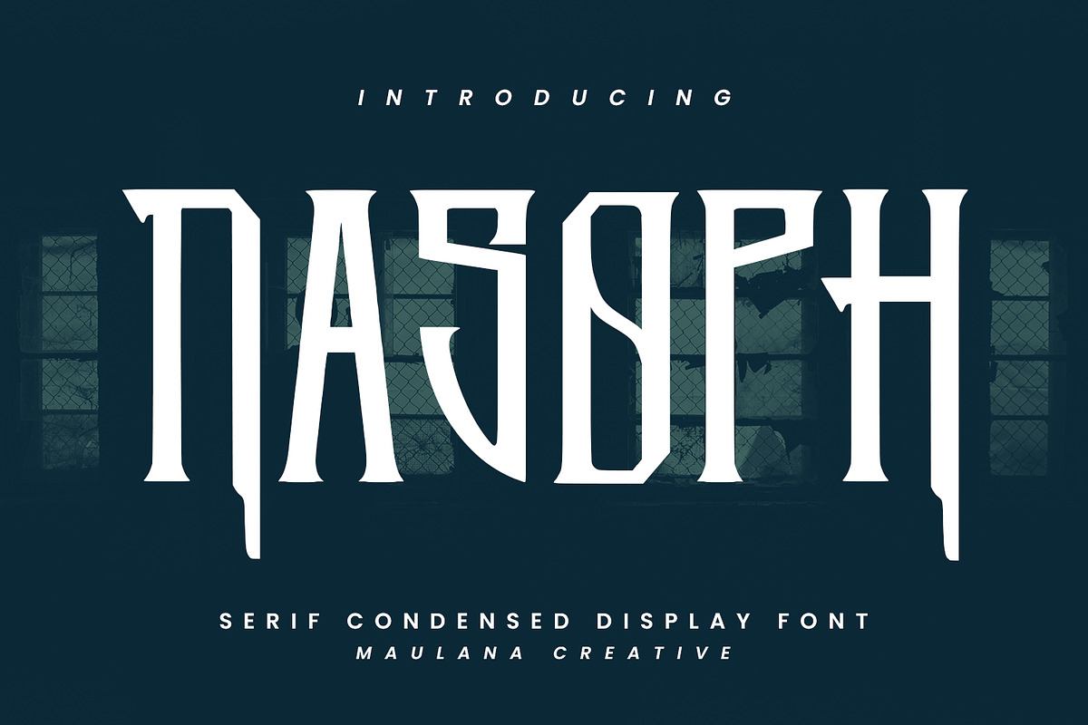 Nasoph Serif Condensed Display Font Free Download Free Download