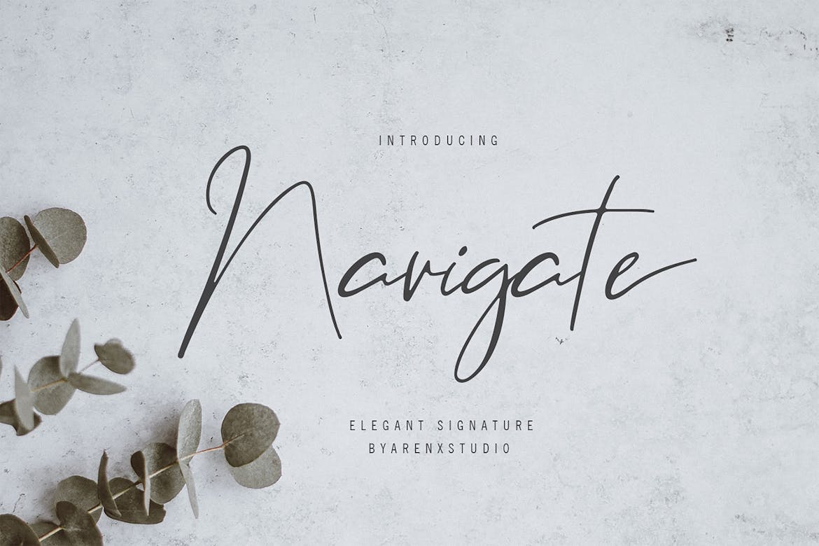 Navigate Elegant Signature Font Free Download