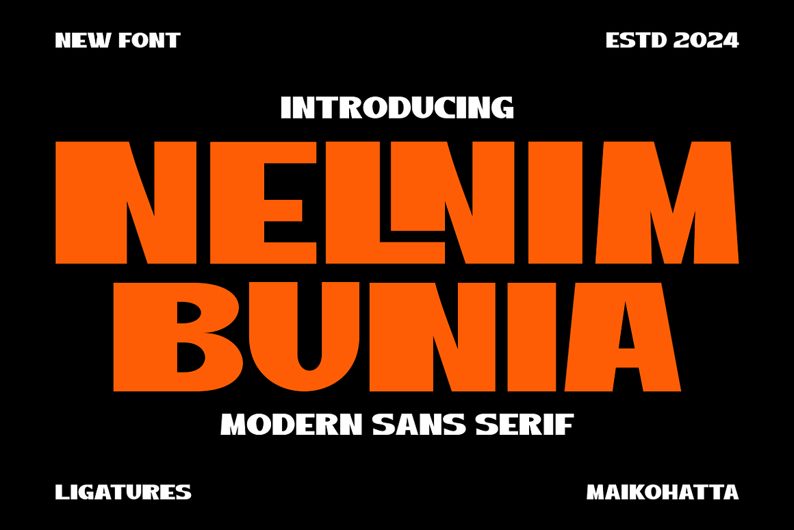 Nelnim Bunia - Modern Sans Serif Font Free Download