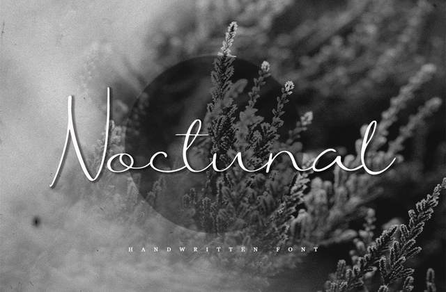 Noctunal Font Free Download