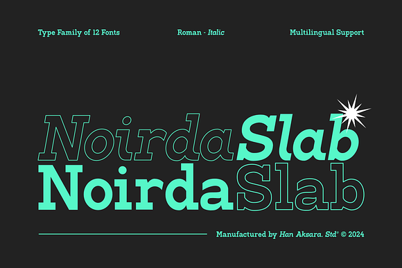 Noirda Slab Serif Font Free Download