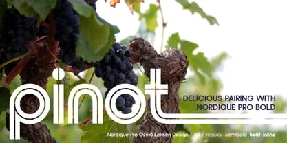 Nordique Pro Font