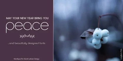 Nordique Pro Font