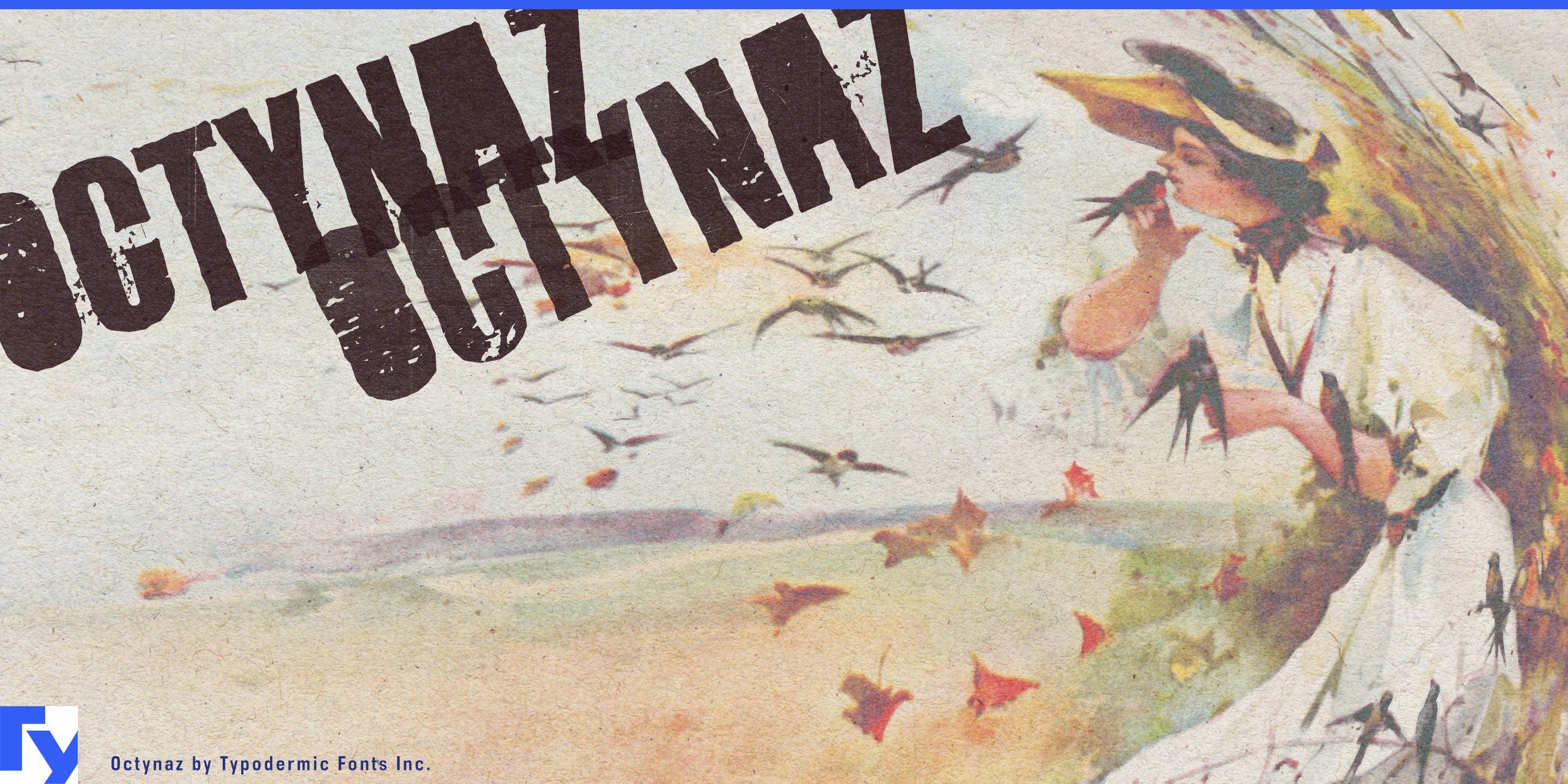 Octynaz Free Download Free Download