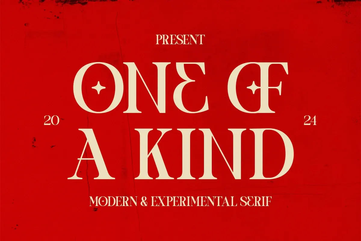 One of a kind | Serif font Free Download Free Download