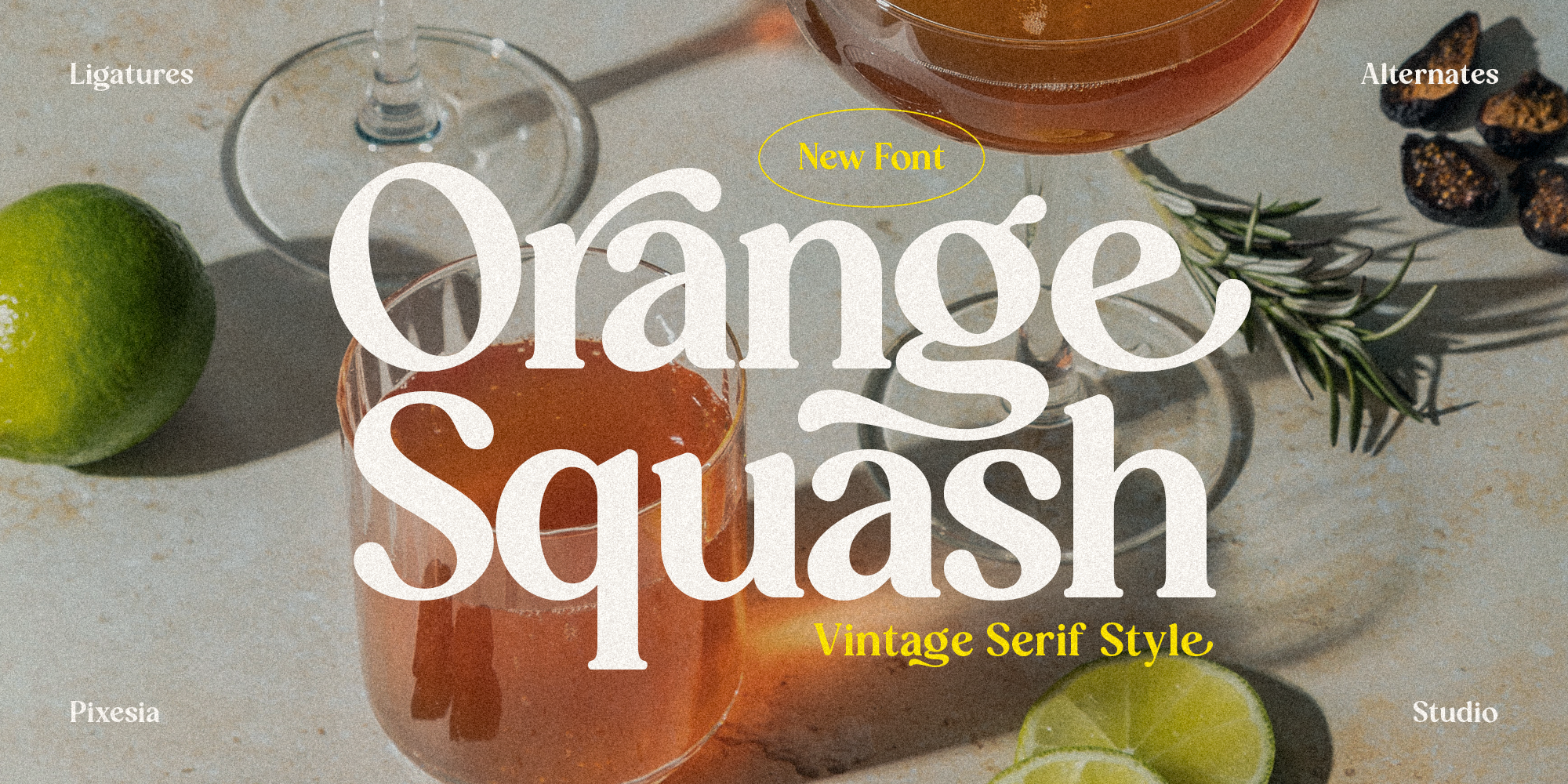 Orange Squash Free Download Free Download