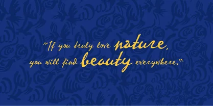 P22 Vincent Font