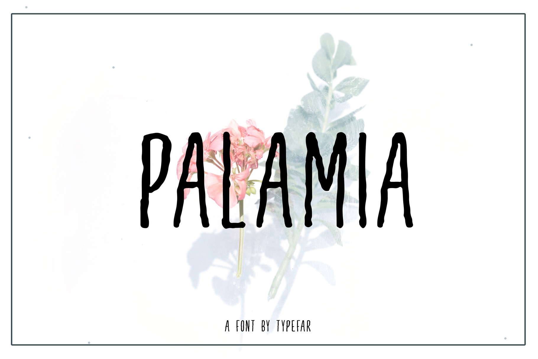 Palamia Typeface Free Download