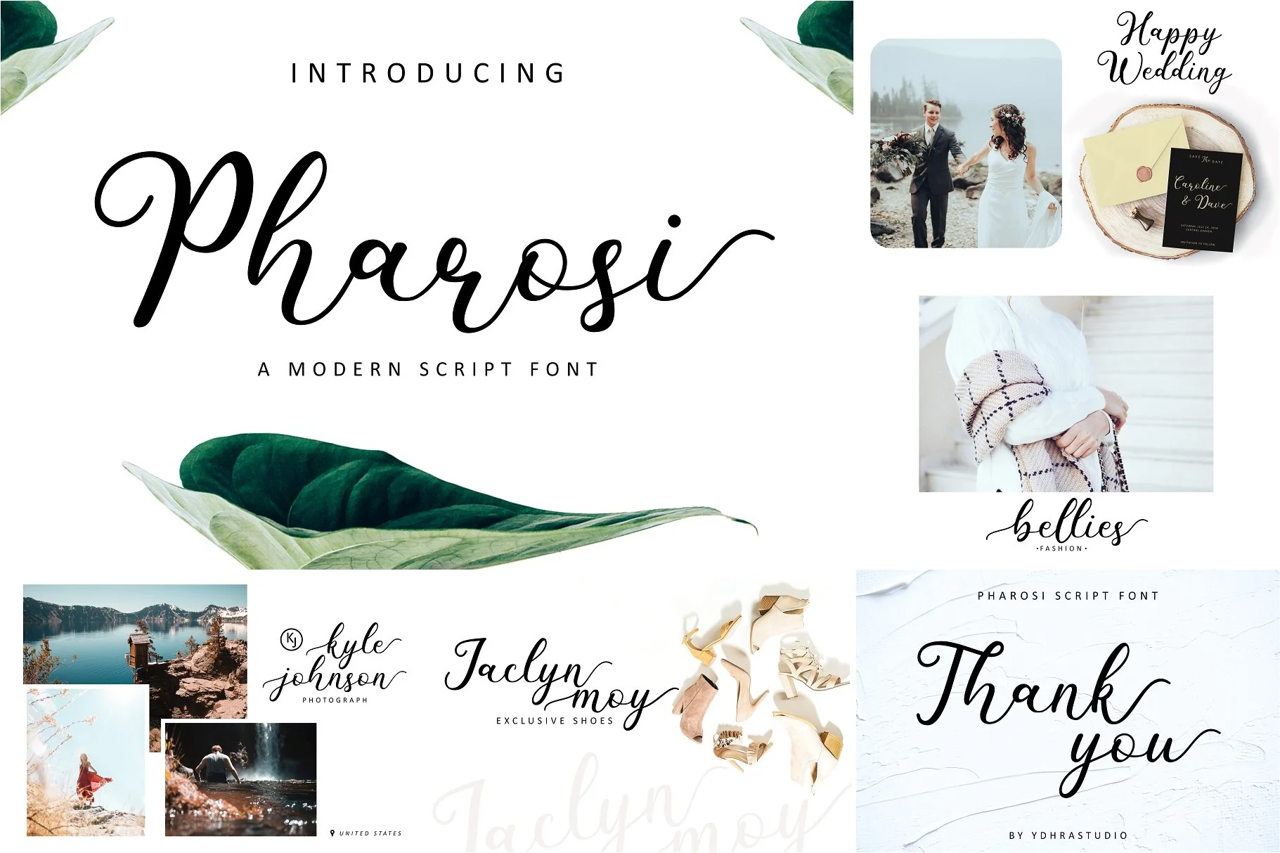 Spectacular Bundle (20 Fonts + Bonus)