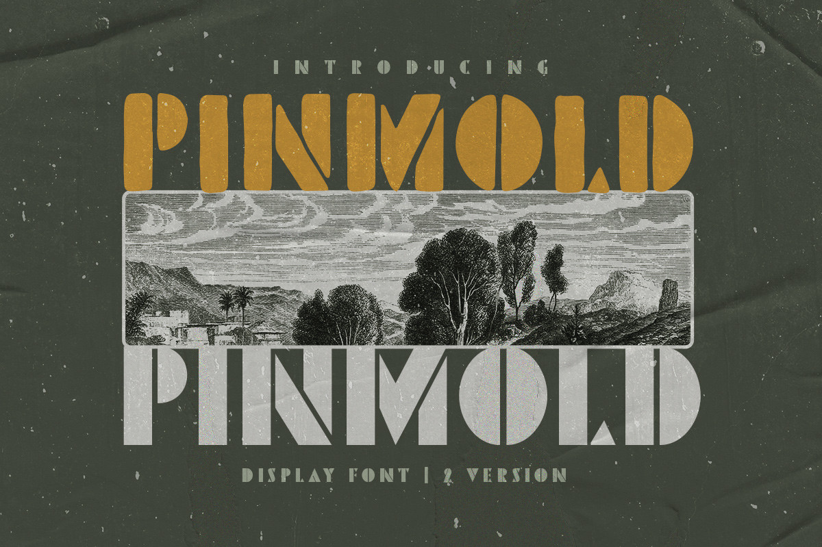 Pinmold Font Free Download