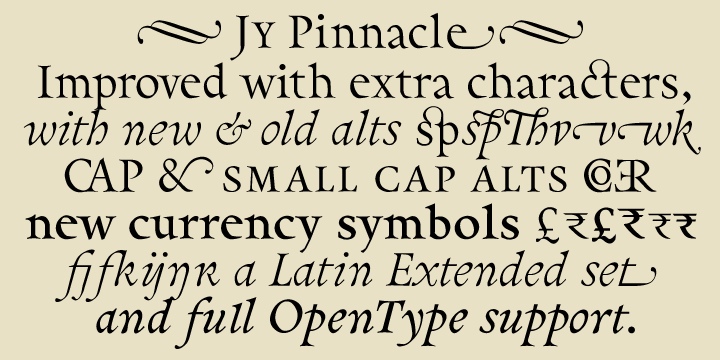 Pinnacle JY Pro Font Free Download