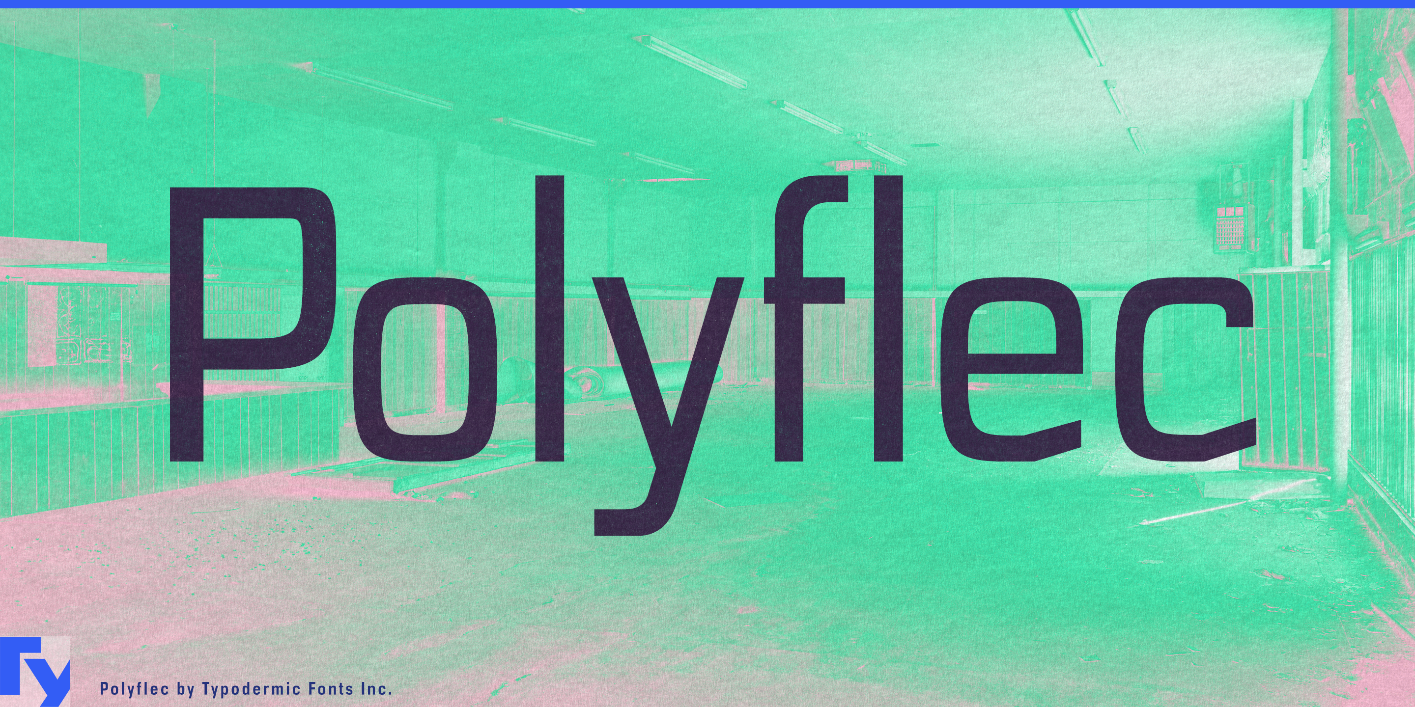 Polyflec Free Download Free Download