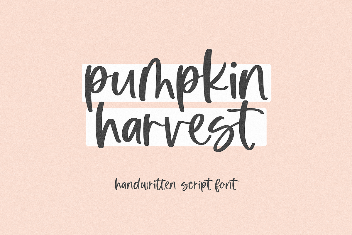 Pumpkin Harvest | Modern Script Font Free Download Free Download