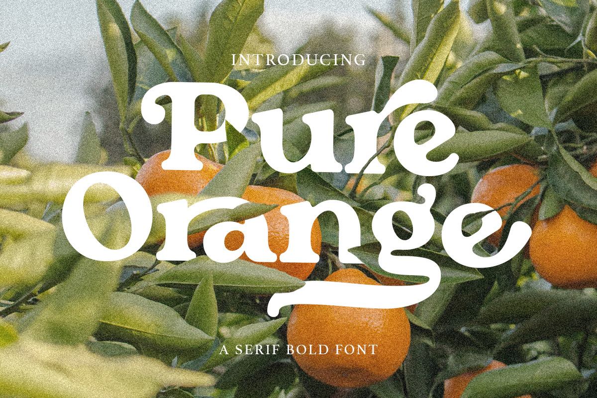 Pure Orange - Serif Bold Font Free Download Free Download