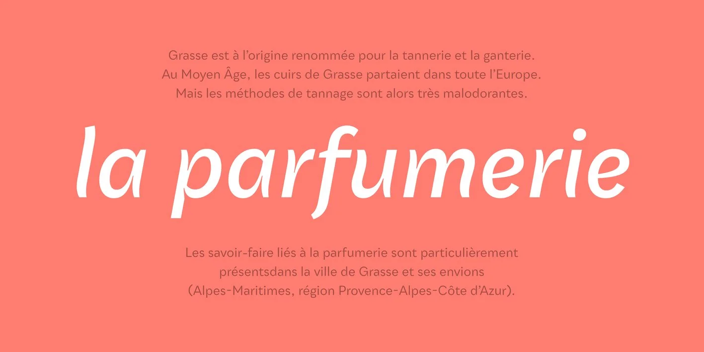 Qualion Text Font