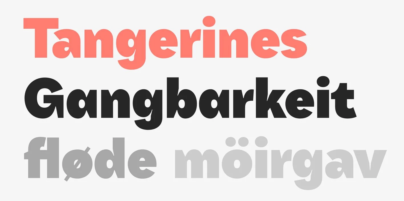 Qualion Text Font