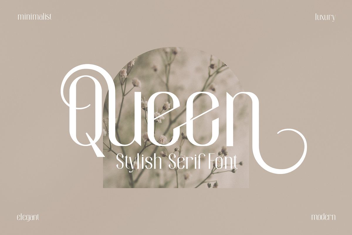 Queen Stylish and Modern Font Free Download Free Download