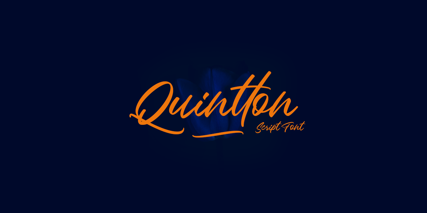 Quintton Free Download Free Download