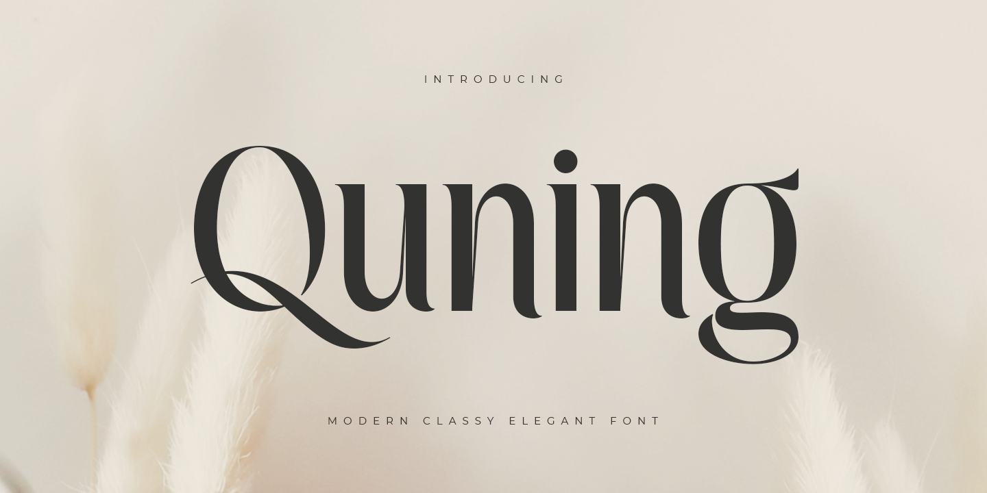 Quning Free Download Free Download