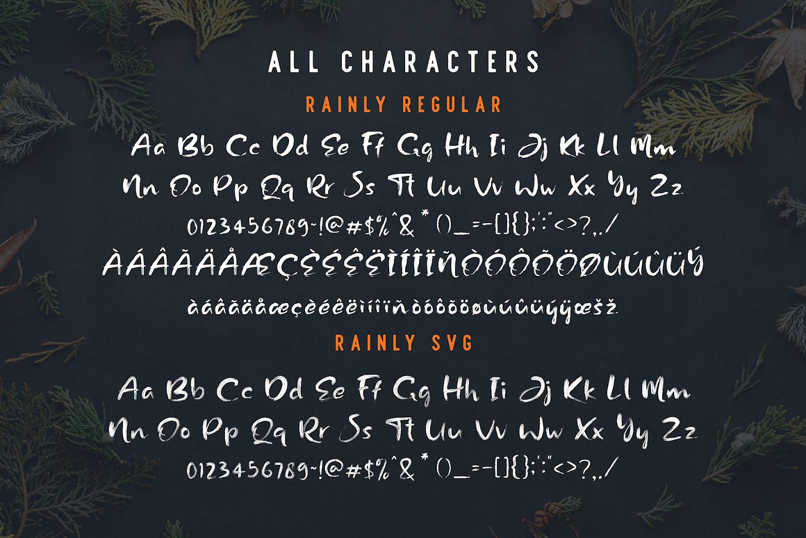 Rainly - Brush & SVG Font Free Download