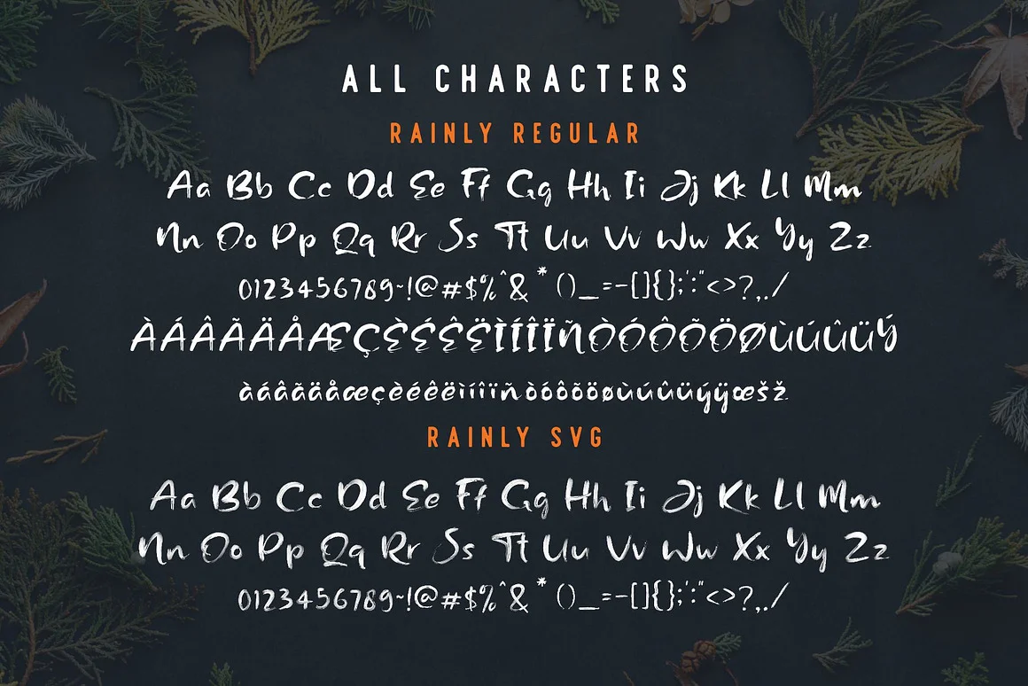 Rainly - Brush & SVG Font