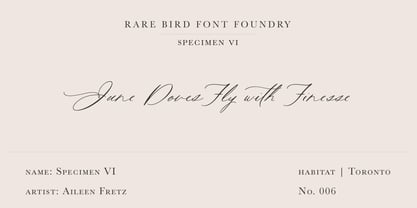 Rare Bird Specimen Collection Free Download