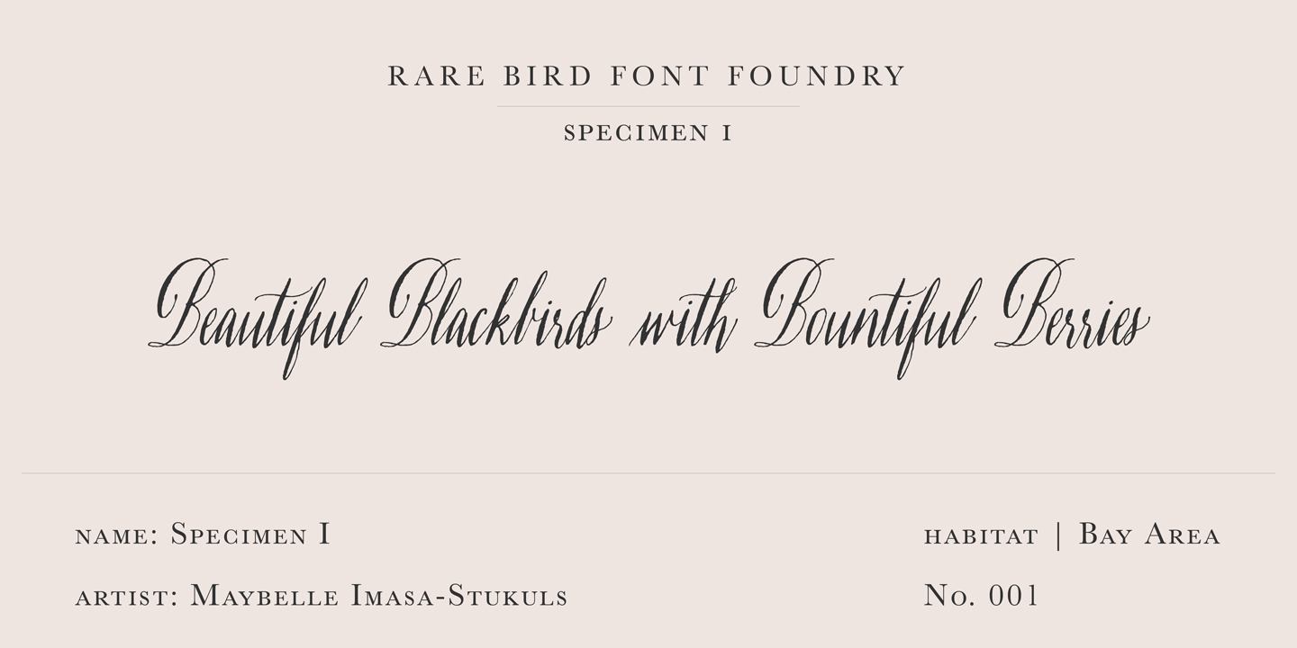 Rare Bird Specimen I Free Download Free Download