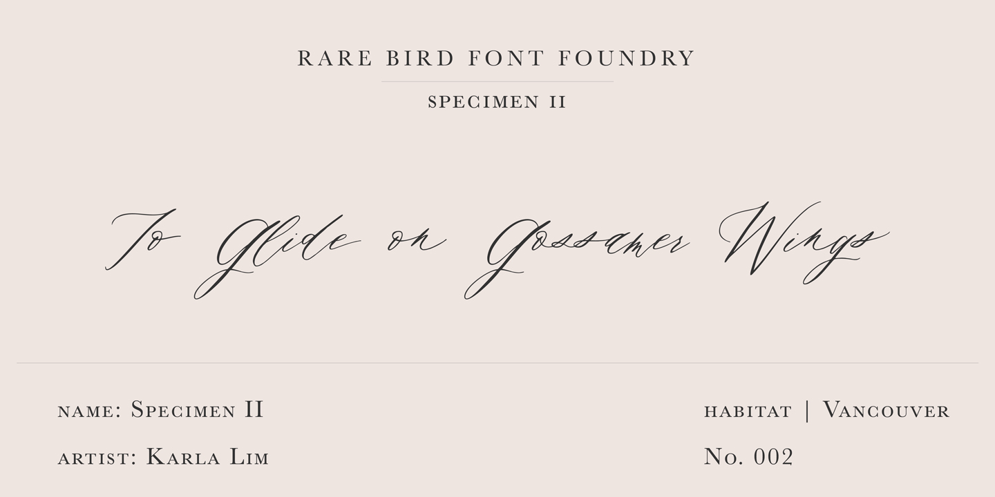 Rare Bird Specimen II Free Download Free Download