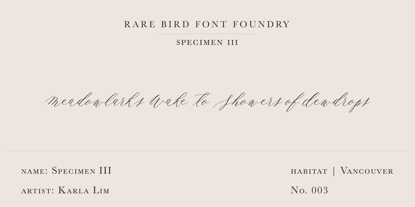 Rare Bird Specimen III Free Download Free Download