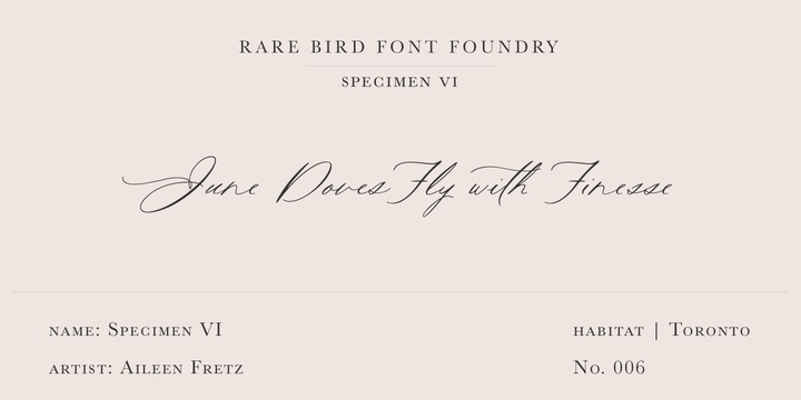 Rare Bird Specimen VI Font Free Download