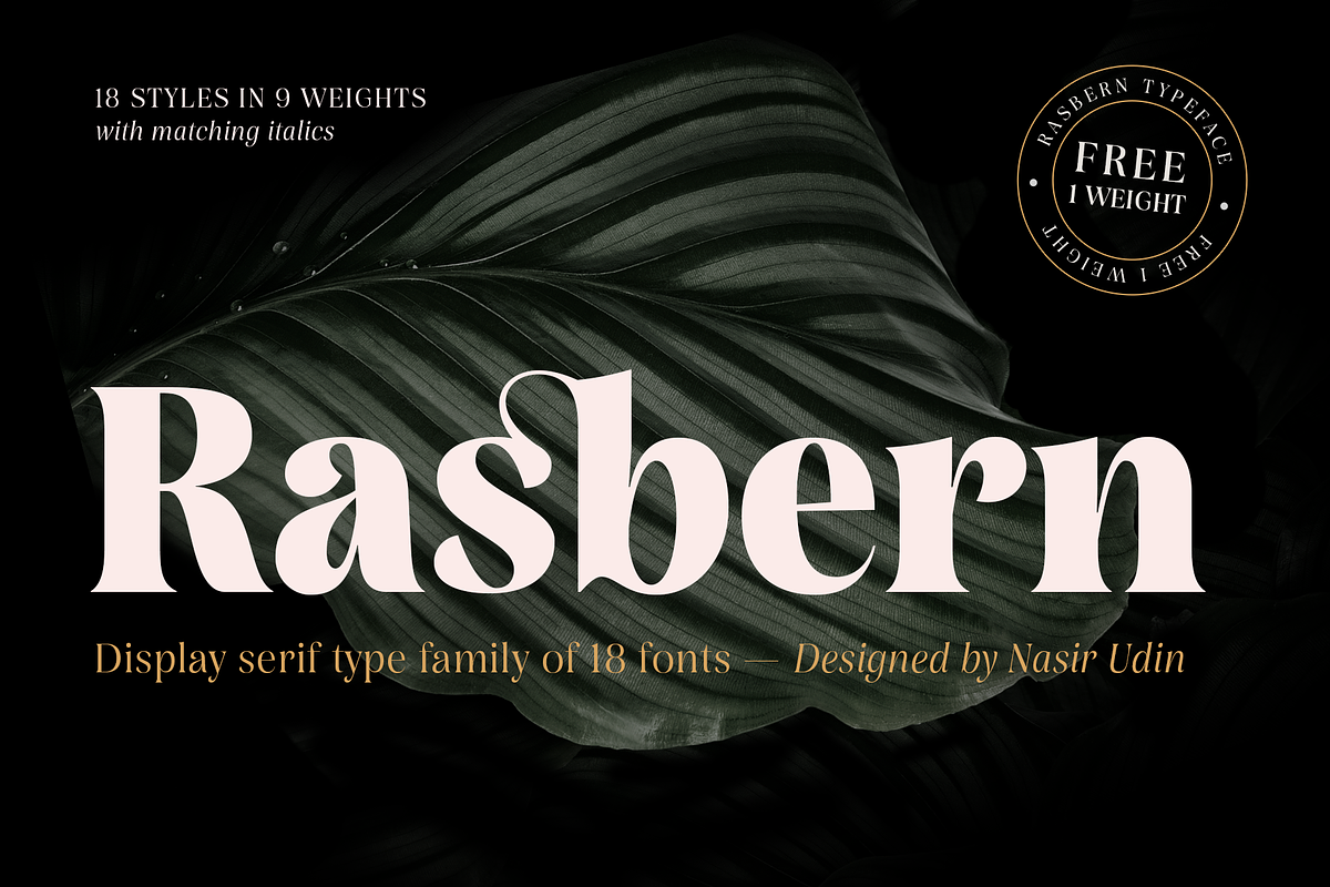 Rasbern — 18 Fonts Free Download Free Download