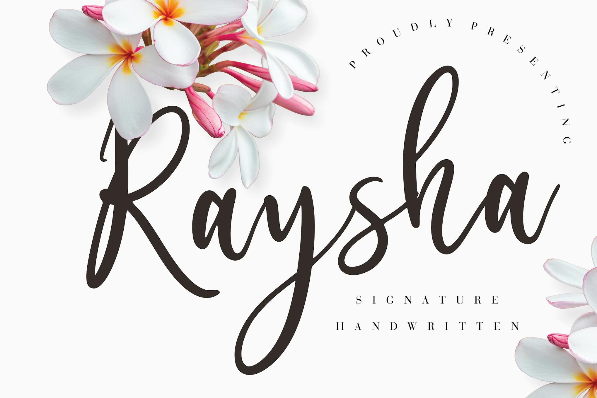 Raysha Signature Wedding Font Free Download