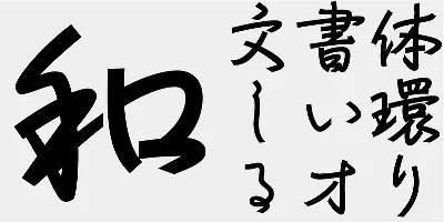 AB Ryusen Natsu Font