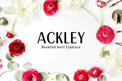 Ackley Sans Serif Font Family