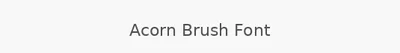 Acorn Brush Font