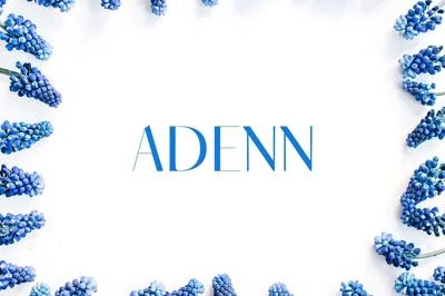 Adenn Serif 4 Font Family Pack