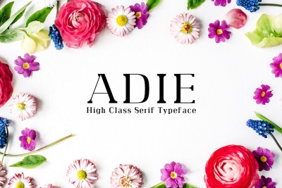 Adie High Class Serif 4 Font Family