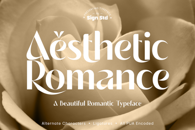 Aesthetic Romance Free Download