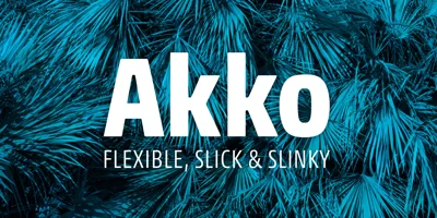 Akko Font