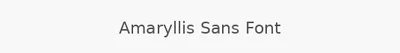 Amaryllis Sans Font