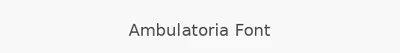 Ambulatoria Font
