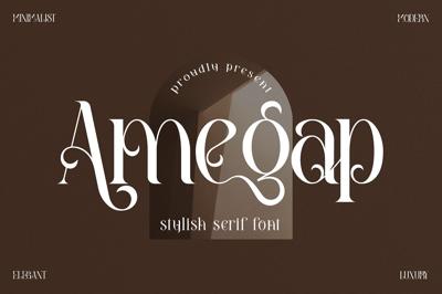 Amegap Stylish Serif Font Free Download