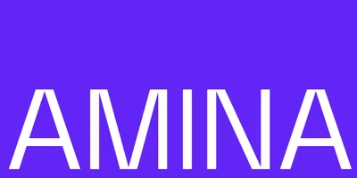 Amina Font