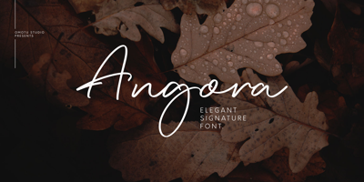 Angora Free Download