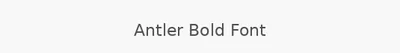 Antler Bold Font