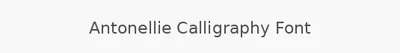 Antonellie Calligraphy Font