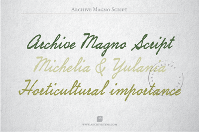 Archive Magno Script Free Download