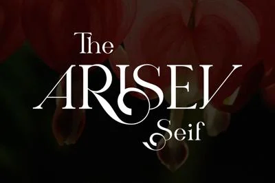 ARISEV Unique Serif Typeface